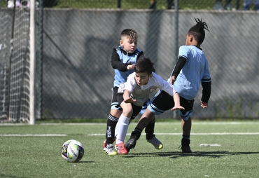 Individual Soccer Project - Emotional Sport