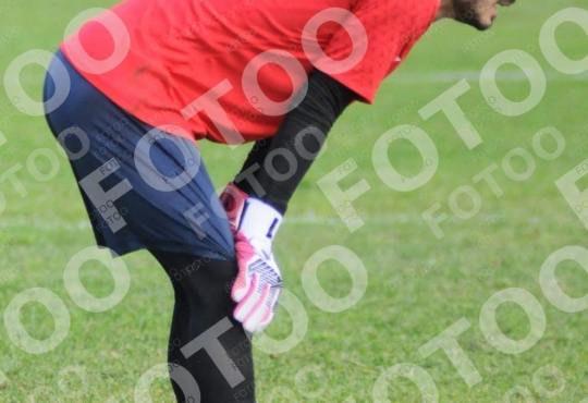 Foto 982727