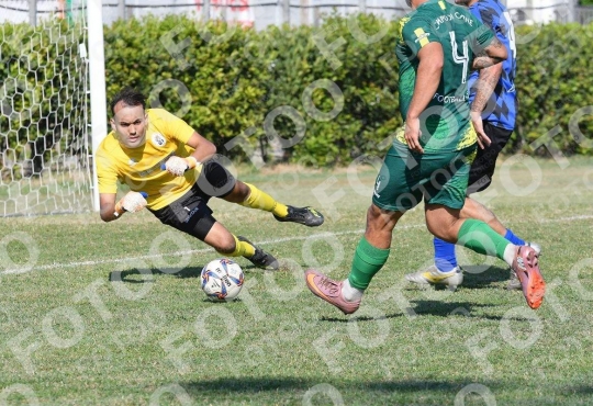 Foto 984728