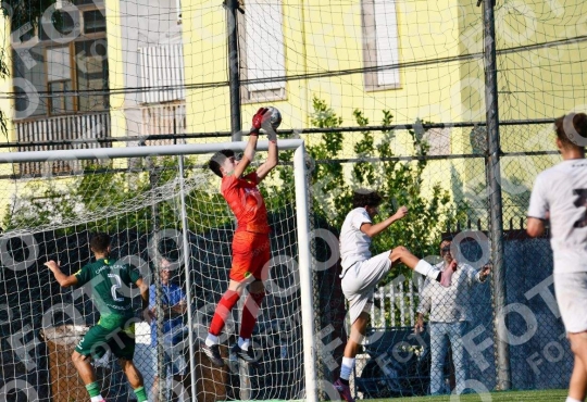 Foto 985142