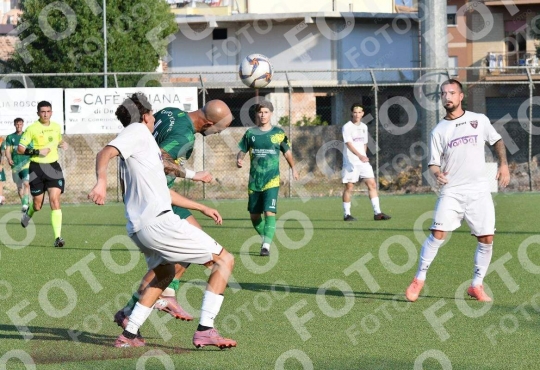 Foto 985241