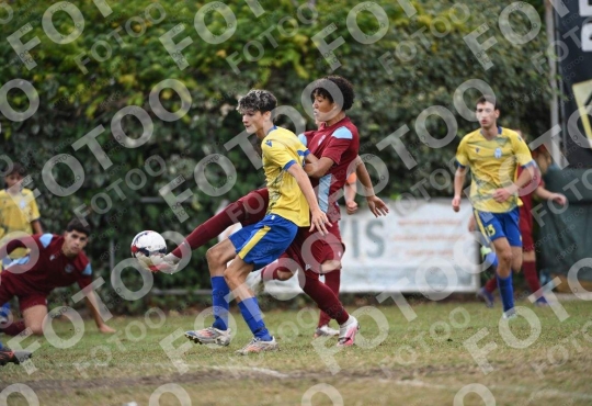 Foto 986110